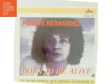 Born to Be Alive (DVD) - 3