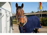 Böckmann Champion Esprit 25 Grundmodel - 2