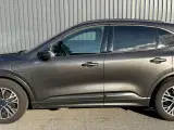 Ford Kuga 2,5 PHEV ST-Line CVT - 5