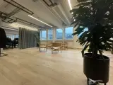 Skelbækgade 2 - Dit nye kontor? - 2