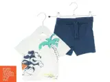 Mickey Mouse t-shirt og shorts sæt fra Disney (str. 74) - 2