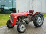 Massey Ferguson - 2