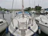 sejlbåd medusa 24 - 4