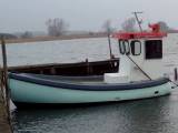 Nysted   Bredgaard   Damjolle