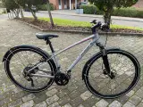 Specialized Ariel