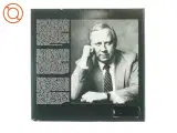 Jean Sibelius, The complete Orchestral Music fra Dem Mastering (str. 30 cm) - 2