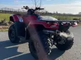 Honda TRX 420 4x4 - 3