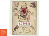 Autopsi af Kristina Ask (Bog) - 3