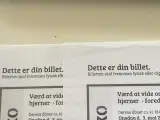 Værd at vide om mænd og kvinders hjerner