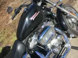 Harley Davidson sporster XL 883  - 2