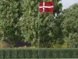 Danmark flag og flagstang 5,55 m aluminium