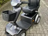 EL-Scooter Pegasus Gråspætten søger ny job