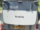 Hestetrailer - 4