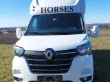Corso 2-Hestes Renault Master Hvid - 2