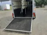 Ifor William Hestetrailer HB 511 år 2019 - 3