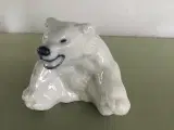 Siddende isbjørn
