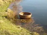 BINDINGSVÆRKS TRÆ - 3
