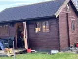 Kolonihave i Randers - 4