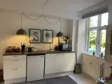 Charmerende kontor/klinik i hyggelig baggård - 5
