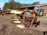 Bovlund Vendeplov 4 furet .  - 5