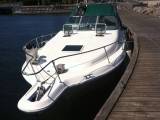 Sea Ray 290 Sundancer
