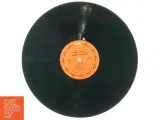 Andy Bown, sweet william fra Mercury (str. 30 cm) - 3