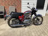 Bsa