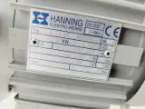 Elmotor Hanning 300W - 5