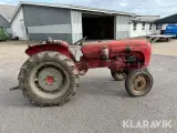 Veterantraktor Porsche 219 Standart star - 5