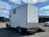 Iveco Daily 2,3 35S15 Hestetransport - 2
