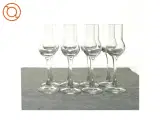 Glas (str. 17 x 5 cm) - 3