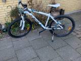 X Zite  mtb
