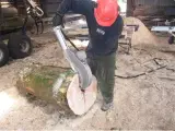 Brænde kløver - 3