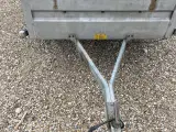 Variant Trailer 130x260 - 3