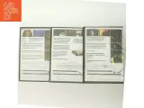 SAW DVD-trilogi - 3