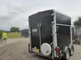 Ifor William Hestetrailer HB 511 år 2019 - 2