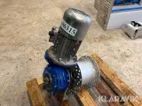 El-spil Neri Motori - 4