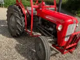 Massey Ferguson 35 3 cyl Diesel - 3