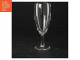 Champagneglas (str. 6 styk. 15 cm) - 2