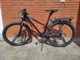 Mountainbike