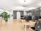 Dynamisk erhvervsområde - 2