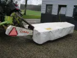 Grønthøster 3 styks - 3