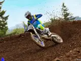 Yamaha YZ 450 F Monster Energy Yamaha Racing Edition - 2