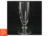 Champagneglas (6 stk) (str. 16 cm) - 2