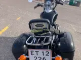 Triumph Speedmaster 2004 - 5
