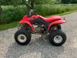 Honda 250cc ATV - 3