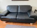 Sofaer 