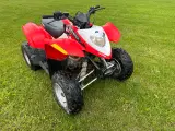 Polaris Phoenix 200