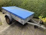 Brenderup trailer (500 kg)