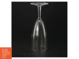 Champagneglas (5 stk) (str. 16 cm) - 2